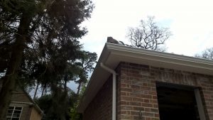 white-soffit-fascia-downpipe-gutter