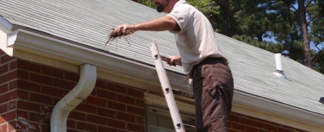 leaf-guard-gutter-clean