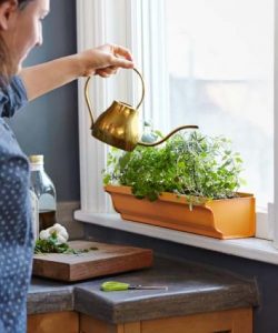 planter-gutter