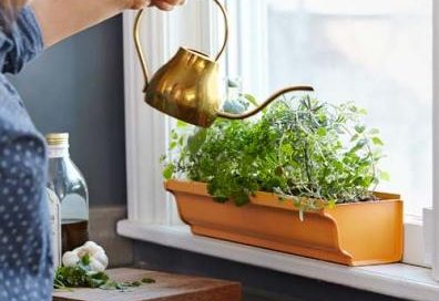 planter-gutter