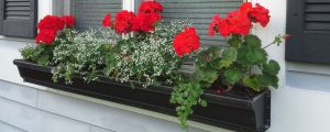 gutter-planter