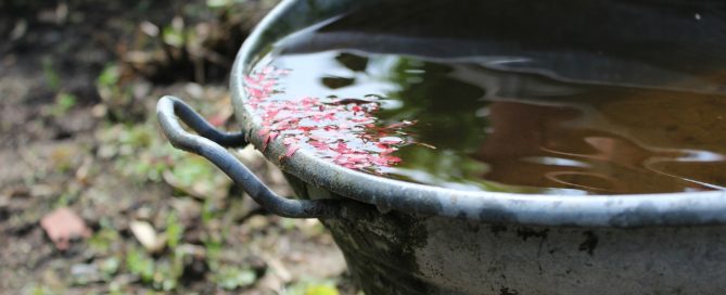 rainwater-collection